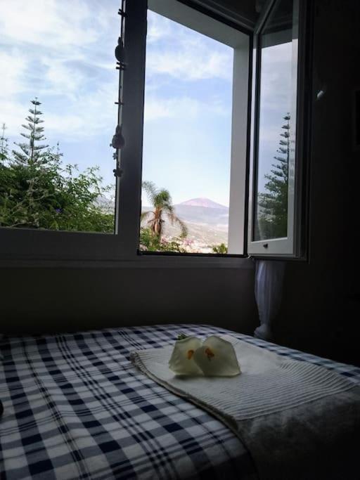 Apartamento Humboldt ,Island Paradise La Orotava Exterior photo